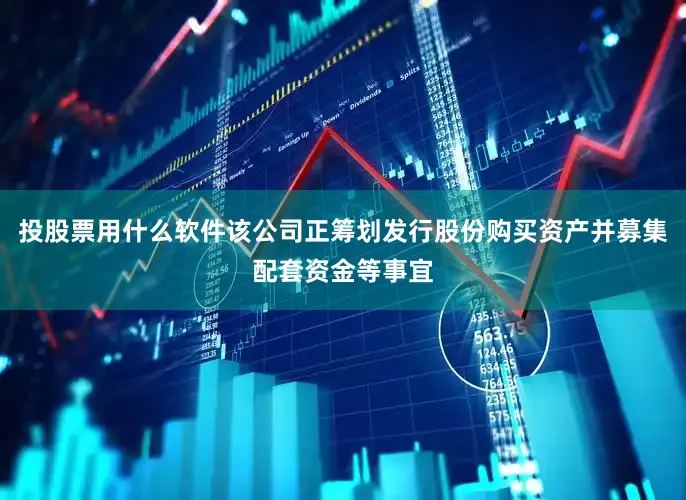 投股票用什么软件该公司正筹划发行股份购买资产并募集配套资金等事宜