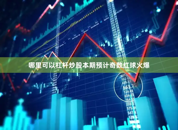 哪里可以杠杆炒股本期预计奇数红球火爆